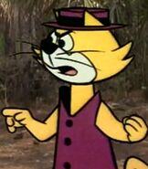 Top Cat in Staylongers.jpg (19 KB) Top Cat in Staylongers