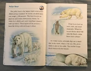 Animals of the Polar Regions (8).jpeg (1.52 MB)