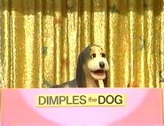 Dimples the Dog as Rover