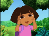 Dora's Clues