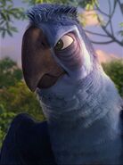 Eduardo (Rio 2)