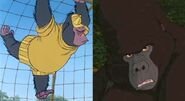 Kerchak and Gorilla (Tarzan and Bedknobs and Broomsticks)