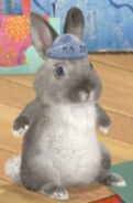 Ollie as Peter Rabbit