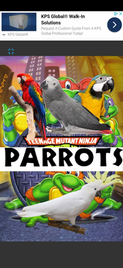 TMNPRRTS1987 Poster.png