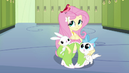 Fluttershy and her animals