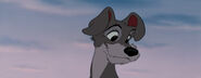 Lady-tramp-disneyscreencaps.com-5744