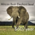 $60 Dollars Per Year for African Bush Elephants.jpg (330 KB)