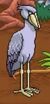 Shoebill