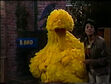 Big Bird heads to sleep after the birdie-pox