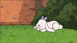 Daffodil sleeping