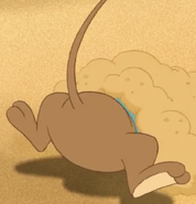 Jerry mouse's butt