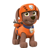 PAW Patrol Zuma Nick Asia.png