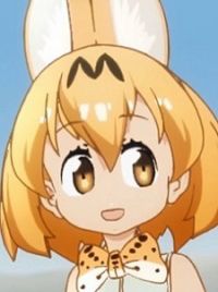Serval - Anime