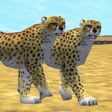 My Top Extreme Animals Animals Alphabet The Parody Wiki Fandom