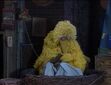 Big Bird Sleeping.JPG