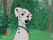 Fifi as Perdita