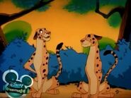 Cheetata and Cheetato as Donald and Douglas