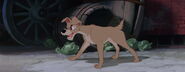 Lady-tramp-disneyscreencaps.com-4228