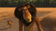 Madagascar2-disneyscreencaps.com-163