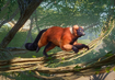 Red Ruffed Lemur