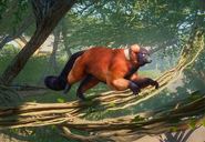Red-ruffed-lemur-planet-zoo