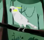 Sulphur-crested Cockatoo (Wild Kratts)