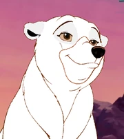 Sushi The polar bear