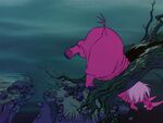 Rhino Madame Mim falls on the Cliff