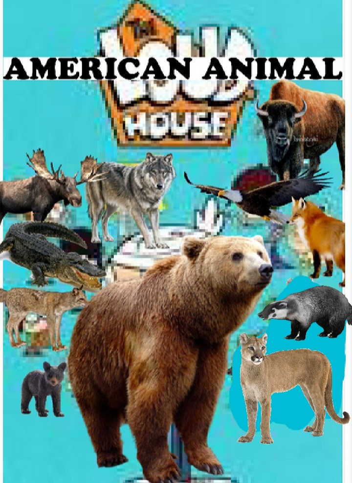 The American Animal House | The Parody Wiki | Fandom The American Animal House | The Parody Wiki | Fandom