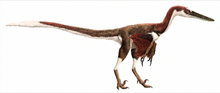 Austroraptor.png