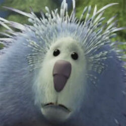 Buddy Doogal The Parody Wiki Fandom Buddy Doogal The Parody Wiki Fandom