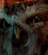 Ezylryb-legend-of-the-guardians-the-owls-of-gahoole-3.7