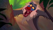 Rafiki as the Giant