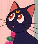 Luna as Herself