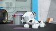 Marshall sleeping in Pups Save Monkey-Dinger