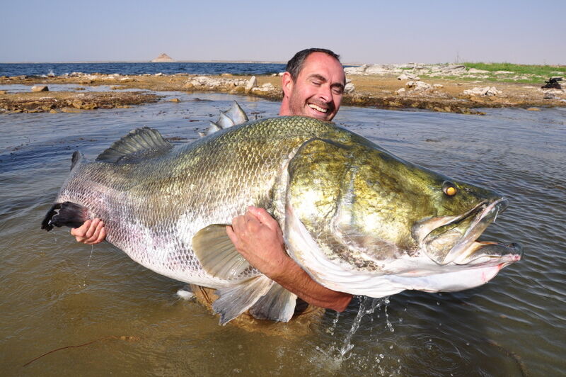 Nile Perch The Parody Wiki Fandom