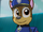 PAW Patrol Closeup of Chase by Rainbow Eevee.png