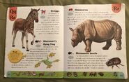 Weird Animals Dictionary (18)