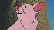 Wilbur as Piglet