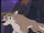 Sailor Aleu