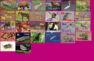 Animal Alphabet 1.png (2.43 MB)