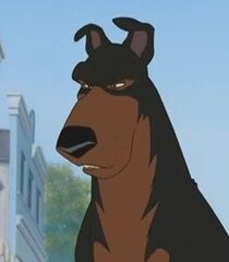 Buster-0.jpg