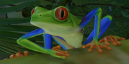 Frog, Red-Eyed Tree (Planet Zoo)