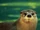 Jessica the Otter (Original)