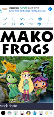 MKFRGS Poster.png