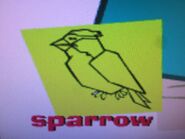 Stanley sparrow