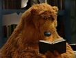 Bear falls asleep while reading his book