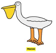 Emmett's ABC Book Pelican