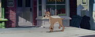 Lady-tramp-disneyscreencaps.com-1612