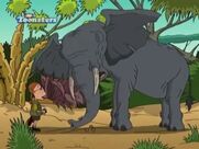 Rebeca the Elephant